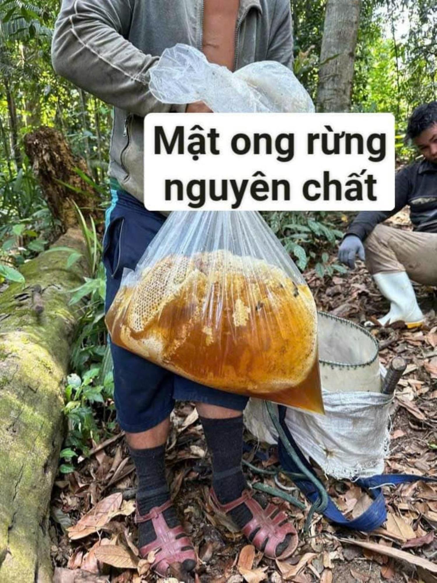 Homestay Ho Son - Thac Anor A Luoi Eksteriør bilde